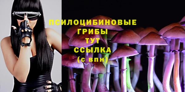 марихуана Баксан