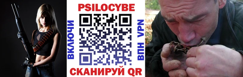 дарнет шоп  Шебекино  Галлюциногенные грибы Psilocybine cubensis 